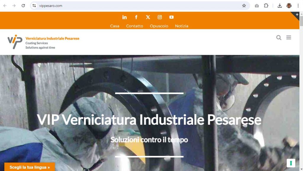 Screenshot of Vippesaro's website